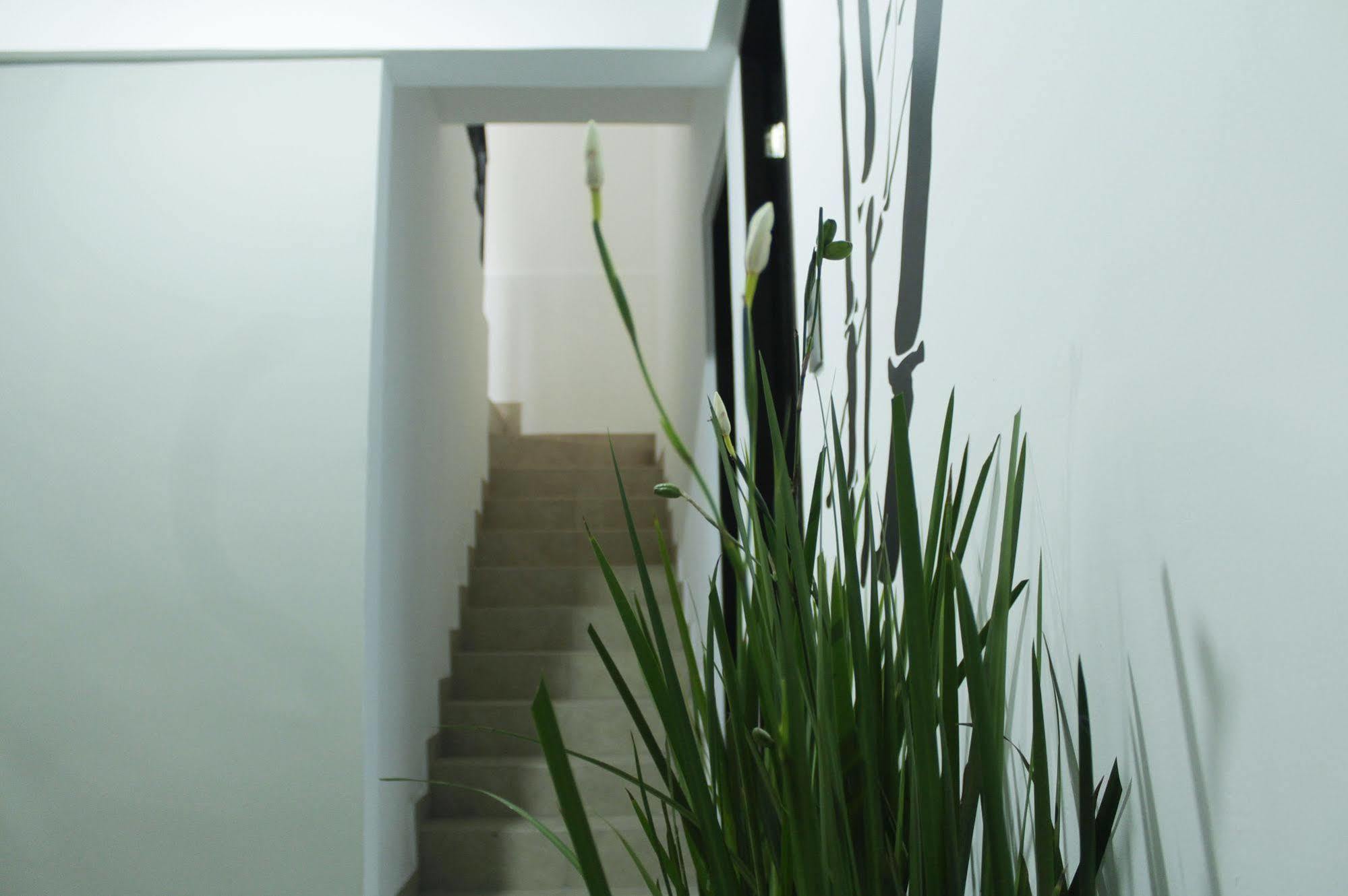 Hostal Be Condesa Mexico City Luaran gambar